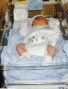 Newborn